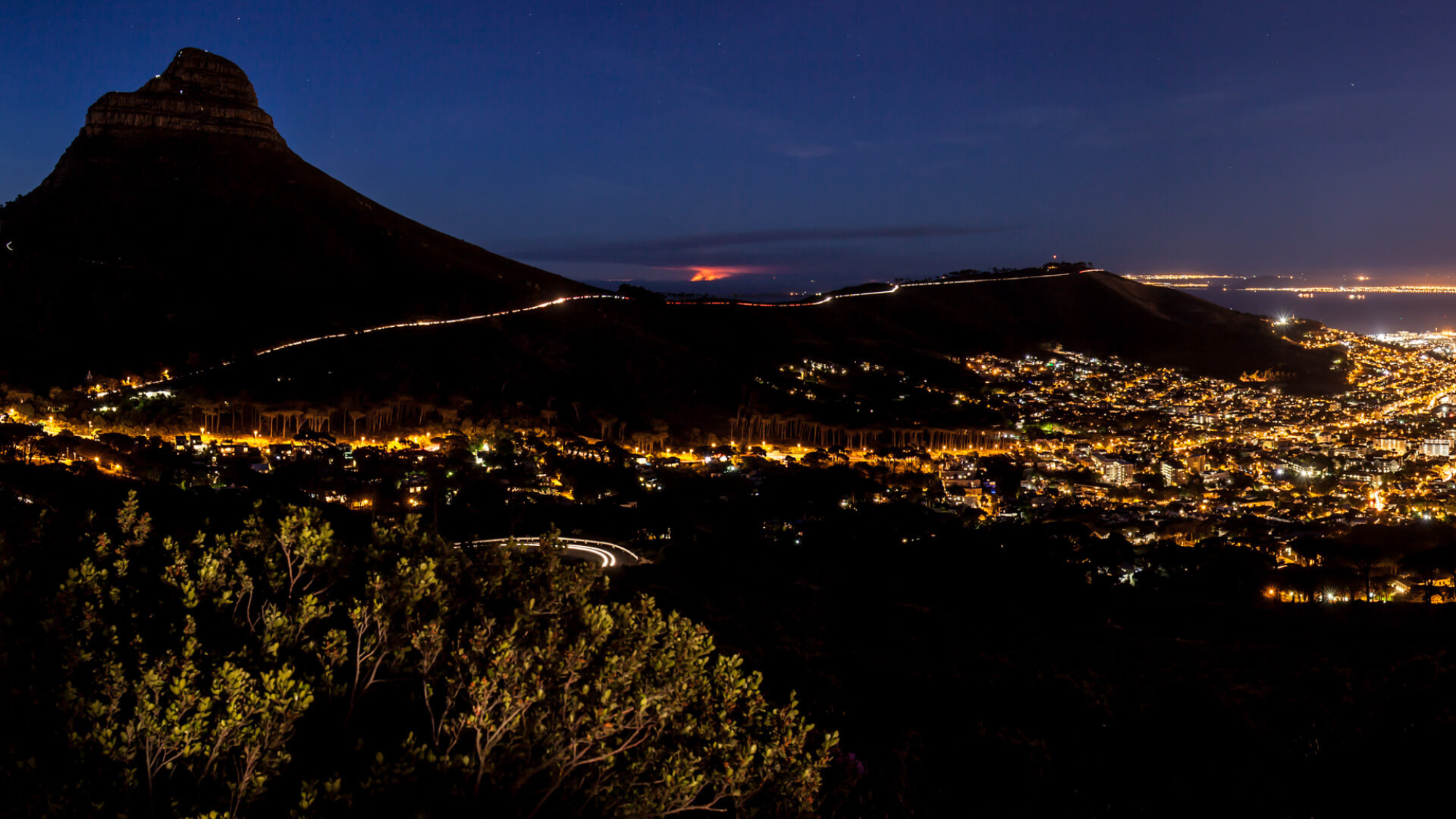 Lionshead-South-Africa